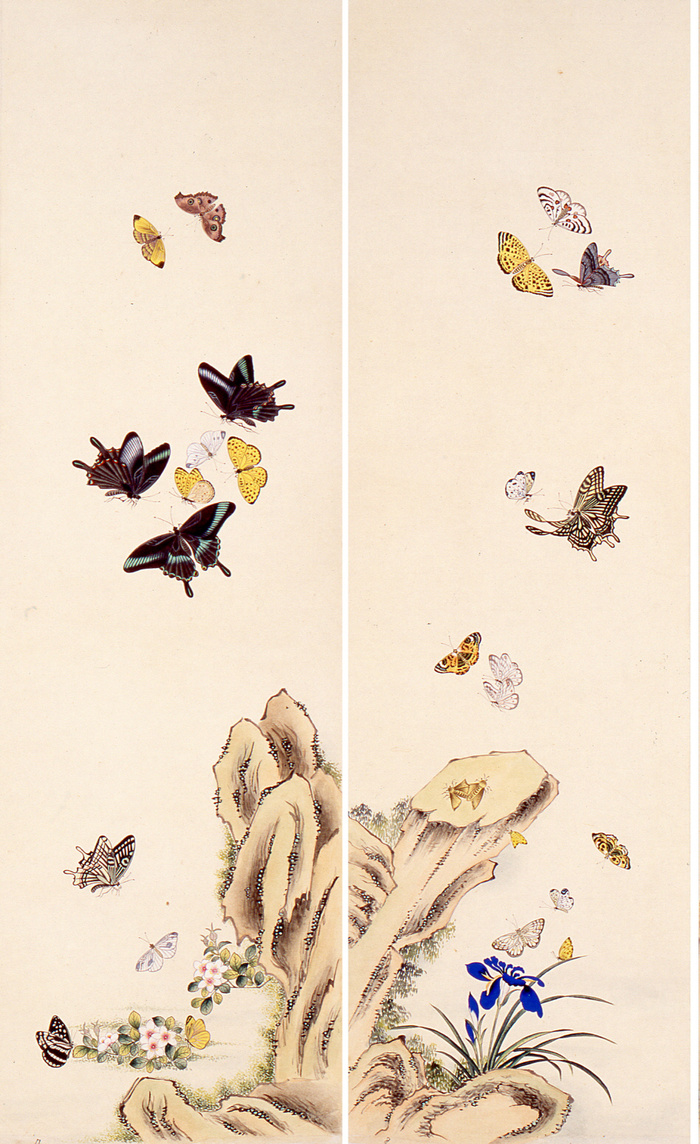 나비의 목탄 그림