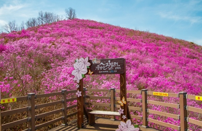 밀양시 작은성장동력사업 더 큰 성장동력으로 발돋움