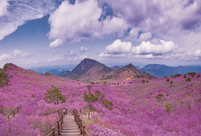대한민국 관광지의 신흥강자 대구시 달성군 - 뉴스 썸네일 이미지