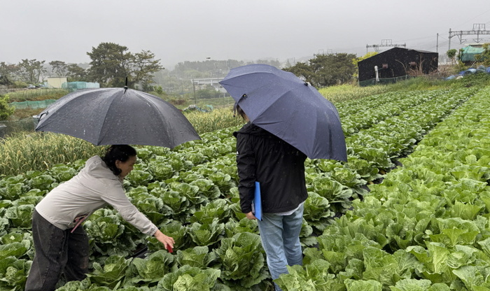 [부산 브리핑 모음(1월19일)] 부산 기장군, 기후변화 대비 농작물 병해충... - 뉴스 썸네일 이미지