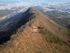뉴스이미지