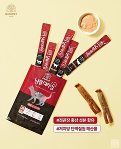 뉴스이미지