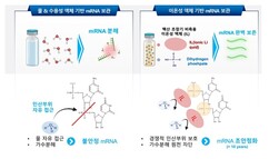뉴스이미지