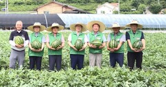 뉴스이미지