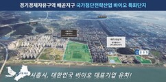 뉴스이미지
