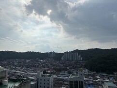 뉴스이미지