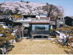 뉴스이미지