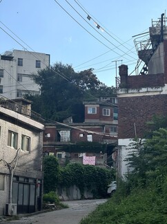 뉴스이미지