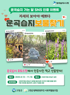 뉴스이미지