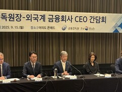 뉴스이미지