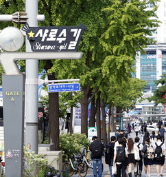 뉴스이미지