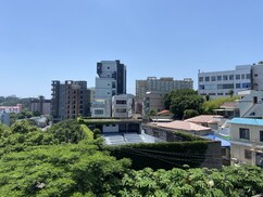 뉴스이미지