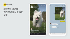 뉴스이미지