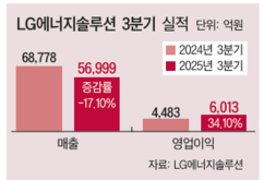 뉴스이미지