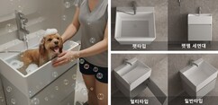 뉴스이미지