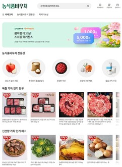 뉴스이미지