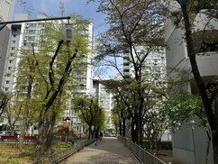 뉴스이미지
