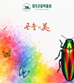 뉴스이미지