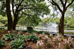 뉴스이미지