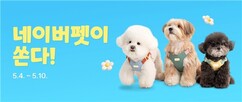 뉴스이미지
