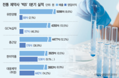 뉴스이미지