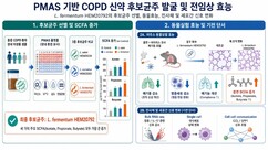뉴스이미지
