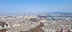 뉴스이미지