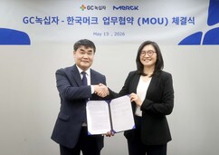 뉴스이미지