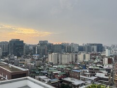 뉴스이미지