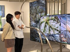 뉴스이미지