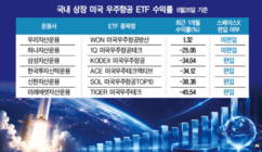 뉴스이미지