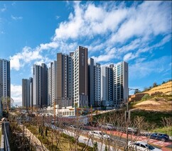 뉴스이미지