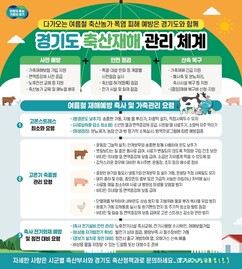 뉴스이미지