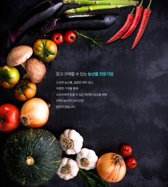 뉴스이미지