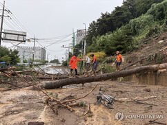 뉴스이미지