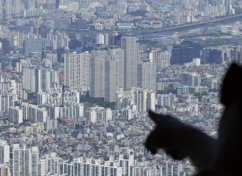 뉴스이미지