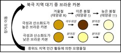 뉴스이미지
