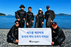 뉴스이미지