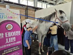 뉴스이미지
