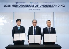 뉴스이미지