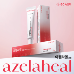 뉴스이미지