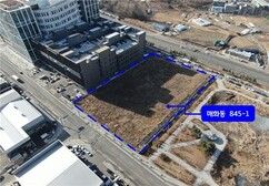 뉴스이미지