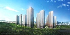 뉴스이미지17