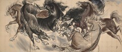 뉴스이미지19