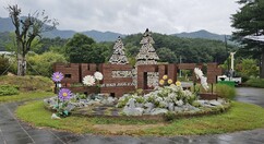 뉴스이미지17