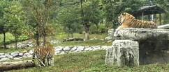 뉴스이미지14
