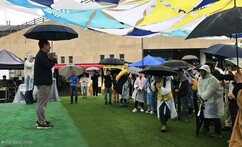 뉴스이미지8