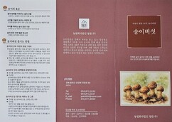 뉴스이미지1