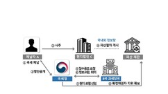 뉴스이미지6