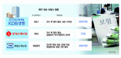 뉴스이미지13